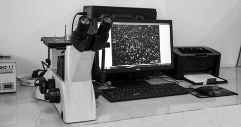 Metallurgical Microscope for stainless casting