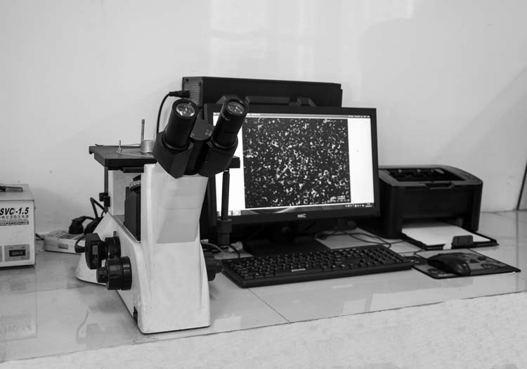 Metallurgical Microscope